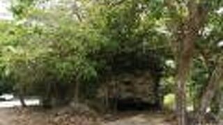 これでも国の天然記念物