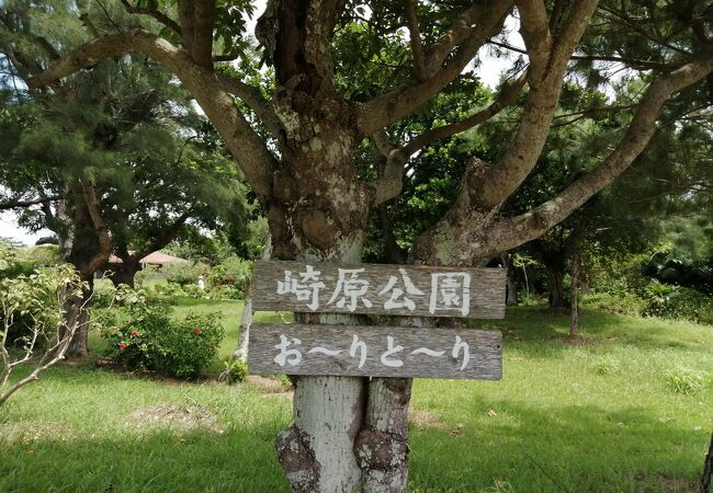 意外と遊べる公園