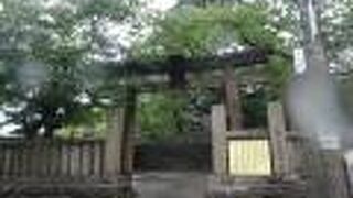 けっこう大きな神社