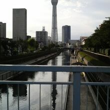 川面にきれいにスカイツリーが写ります