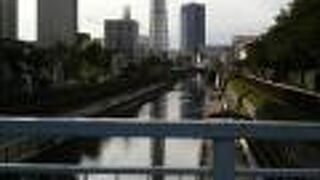 亀戸駅近く、スカイツリーを眺めながらゆっくり散歩できる川です