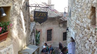 迷路のような小道を上った先に熱帯植物園