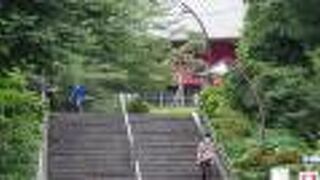 不忍池弁天堂から上野公園へ向かう階段を登った正面に立地しています。