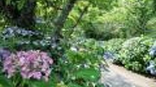 あじさい寺　長法寺