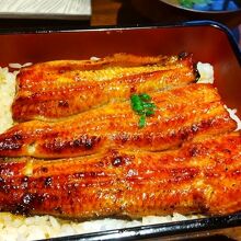 やっぱりうな重