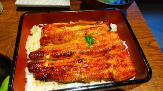 リーズナブルに美味しい鰻料理が楽しめる