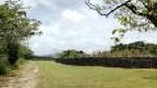 サンゴの“塀”が残ってます