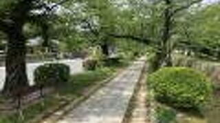 誰もいない哲学の道