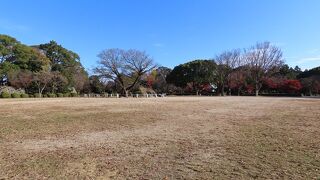 【二ノ丸広場】広い芝生が広がっていました