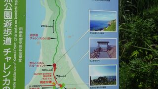 神威岬の先端までは徒歩で往復５０分ほどかかります！