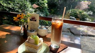 緑の庭園と店内の和モダンな雰囲気が素敵