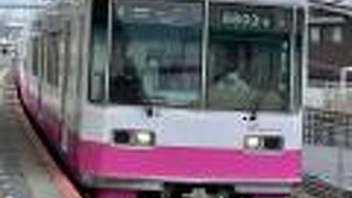 かなりビビっとなピンク