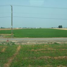 水田と麦畑の中を走ります