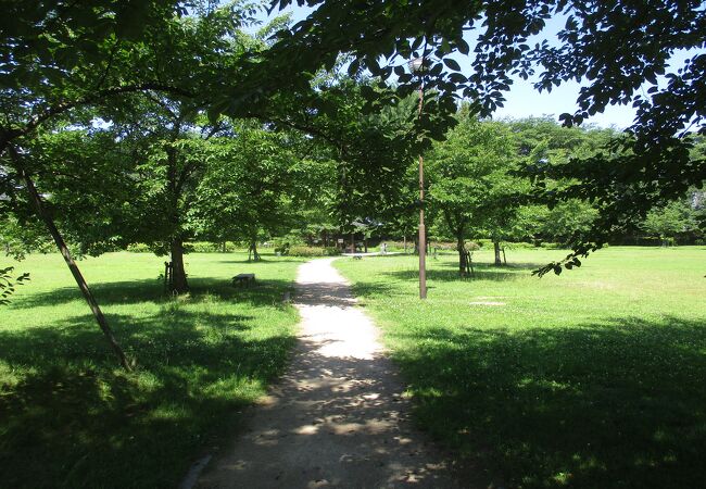 薬師公園 山形県山形市 クチコミ アクセス 営業時間 山形市 フォートラベル