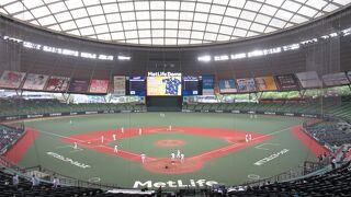 リニューアルされてボールパーク感が増しました