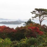 紅葉と松島湾