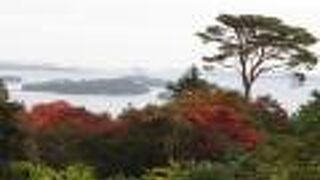 紅葉と松島湾
