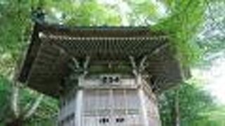 ここまでは比較的行き易いです