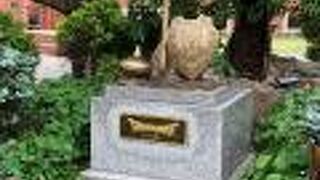 音楽も流れる！