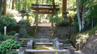 自然に囲まれた素朴な雰囲気のお寺