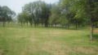 オープンスペースが広々としていて散策が楽しい公園です