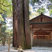 伊勢神宮・外宮の第一別宮！豊受大御神の荒御魂が祭られています