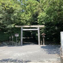 月夜見宮です。