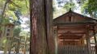 伊勢神宮・外宮の第一別宮！豊受大御神の荒御魂が祭られています