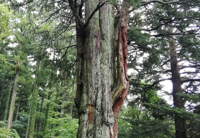 芦野城跡　芦野氏陣屋跡