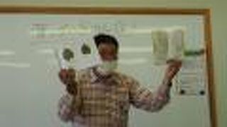 葉っぱの図鑑作りツアー