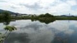 農業用溜池にあった古代寺院跡