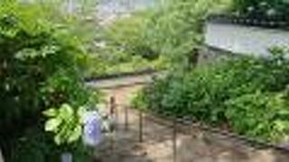 アジサイの咲く季節に行きました