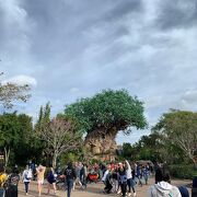オーランドツアー おすすめ格安ツアーの料金 プラン比較 フォートラベル アメリカ Orlando