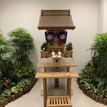 いつもの写真ですね。