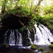 鳥海山の恵みが溢れ出る絶景ポイント