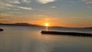 ロードキル注意！