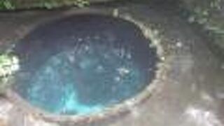 日本有数の湧水群