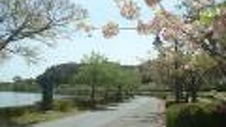 千波公園の遊歩道を5月に散策