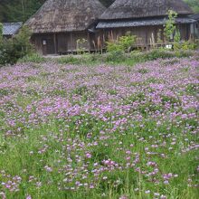 増田家。公開施設。無料。