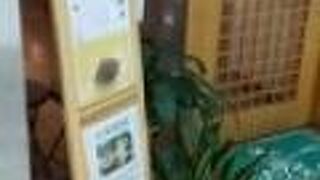 かき氷がおすすめ