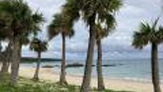 シュノーケルをしている人が多かったです。