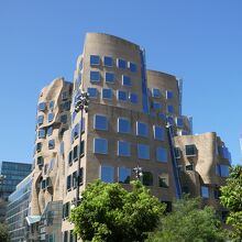 道よりDr Chau Chak Wing Buildingを