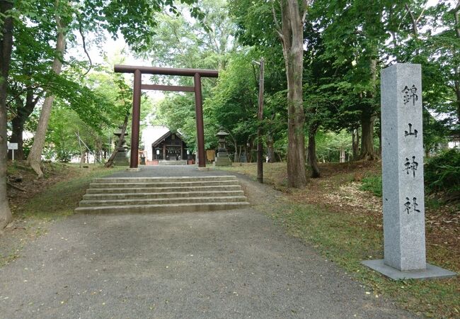 今年も花手水