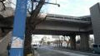 春はこの通りを使ってﾊﾟｼﾌｨｺ横浜方面へ向かいましょう