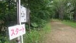 非舗装だが、よく草刈などもされて整備されている