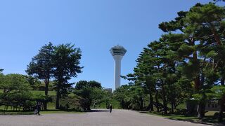 やっぱり上からみたい！