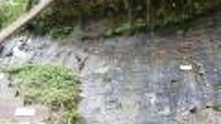 チバニアン ビジターセンター