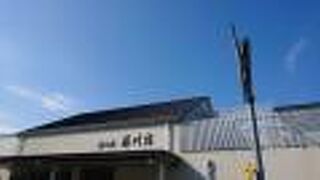 夏の週末の午後に訪問したところ、大盛況でした