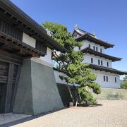 松前城を中心とした広い公園