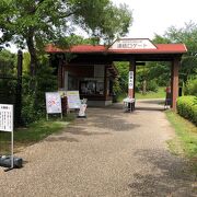 広い公園！